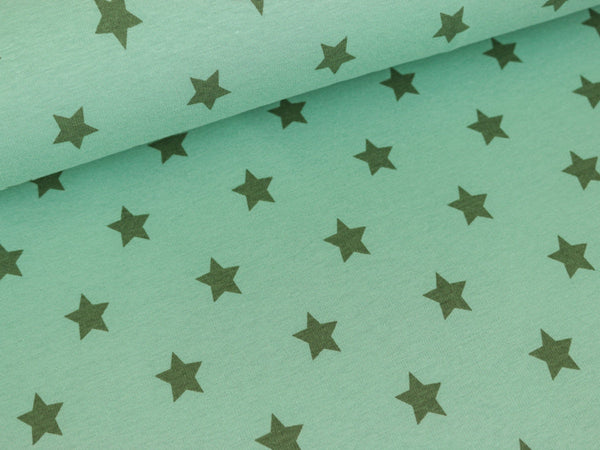 Wintersweat Alpenfleece mint Sterne grün