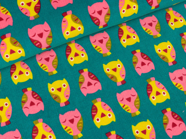 HILCO Feincord Eule Jorduggla petrol-bunt