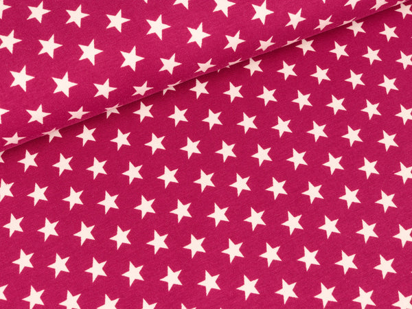Reststück 40cm - Baumwolljersey Verena Kleine Sterne weiß auf Erika