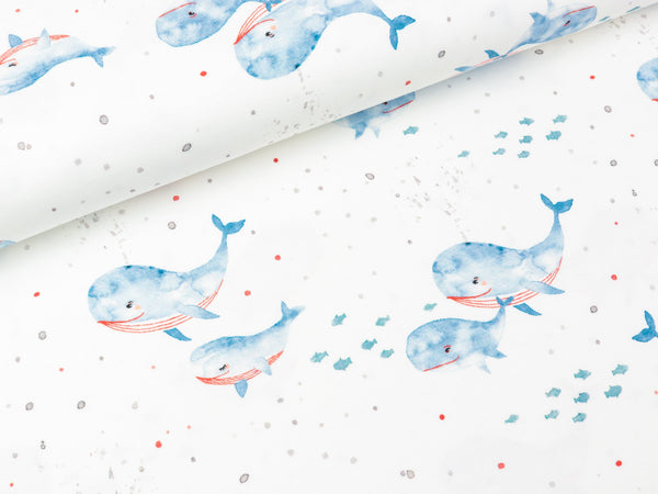 Reststück 37cm - Baumwolljersey Ocean Breeze Walfische wasserblau-rot auf Weiß FS21