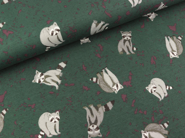 Baumwolljersey Racoons Kleine Waschbären auf Smaragd
