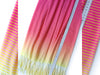 Reststück 22cm - Hamburger Liebe Fringe Me Dip Dye Pink mit Fransenborte