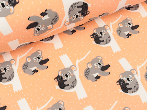Baumwollsweat Raik Koalabären apricot