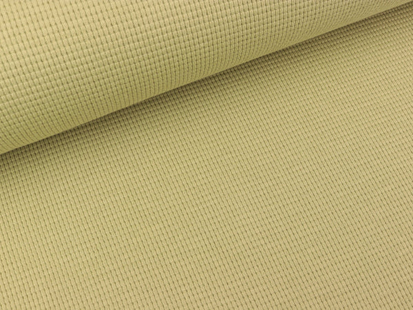 Waffeljersey Clarissa lindgrün uni