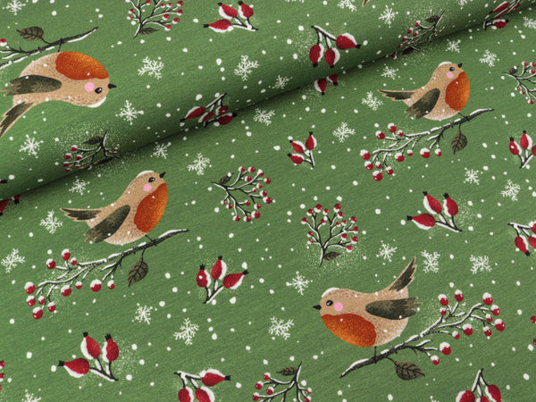 Baumwolljersey Lovely Robin heugrün by Christiane Zielinski