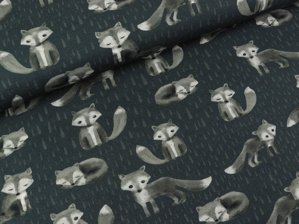 Baumwolljersey Mr.Socks Füchse auf Anthrazit by Bienvenido Colorido