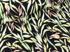 Rippjersey Mia Blätter bunt auf Schwarz Watercolor Look