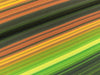 NANO Softshell Robin Schmale Streifen dunkelgrün-orange-gelb-hellgrün