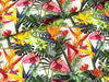 Viskose Webware Amalia Tropische Blumen bunt auf Weiß