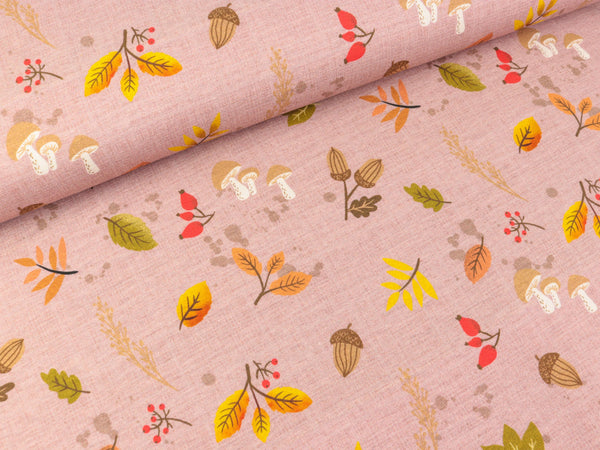 Baumwolljersey Igel Iggi Herbstgeflüster auf Altrosa by Christiane Zielinski