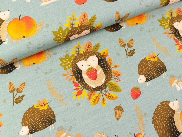 Baumwolljersey Igel Iggi Igelleben bunt auf Nebelblau by Christiane Zielinski