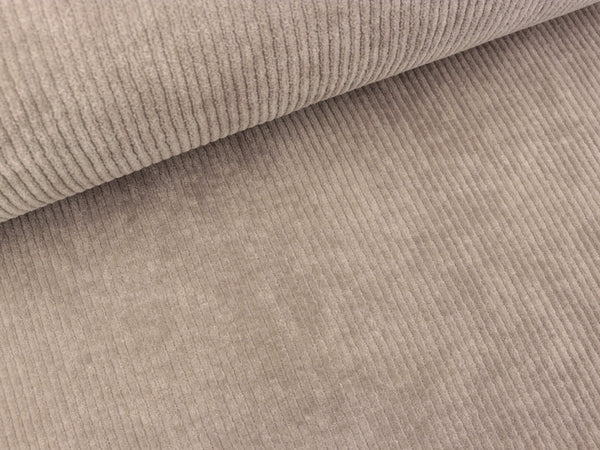 Cord Nicki Florida taupe uni