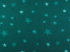 Baumwolljersey Christmas Dino petrol-bunt Panel 80cm