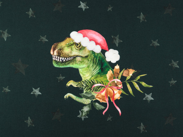 Baumwolljersey Christmas Dino petrol-bunt Panel 80cm