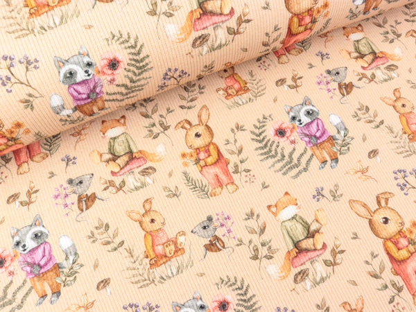 Baumwolljersey Fein Rib Florida Forrest Friends bunt auf Poudre