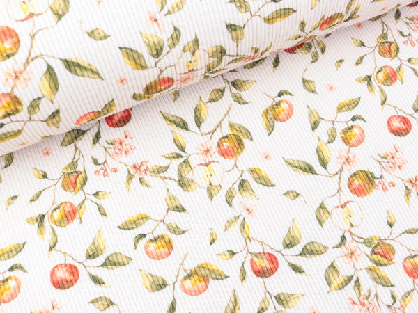Baumwolljersey Fein Rib Florida Apple Blossom bunt auf Off white