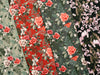 Baumwolljersey Henry Rosa Blüten auf Schwarz